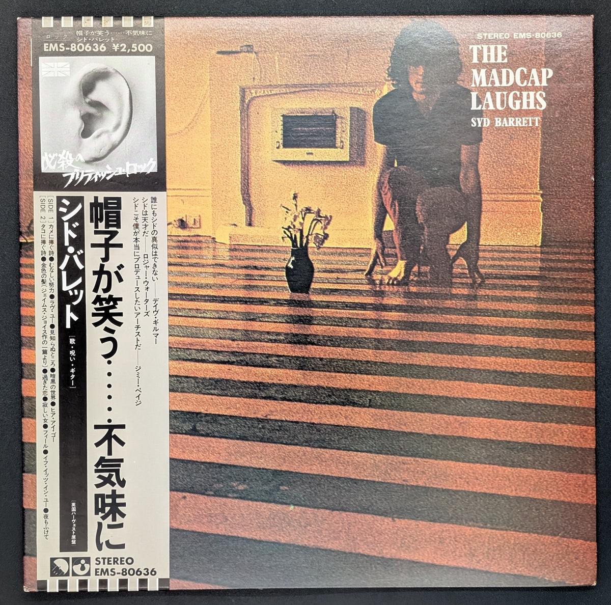 Syd Barrett - The Madcap Laughs *
