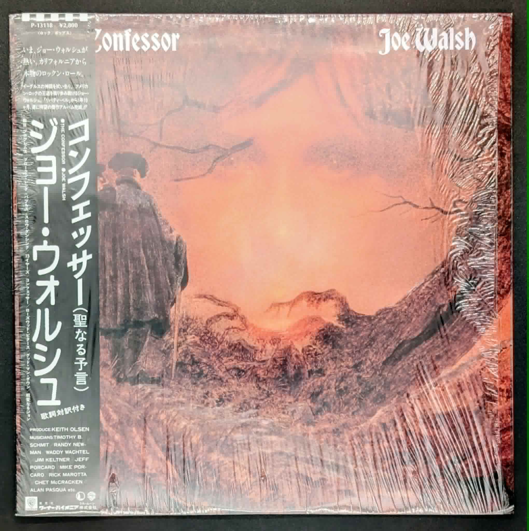 Joe Walsh - The Confessor