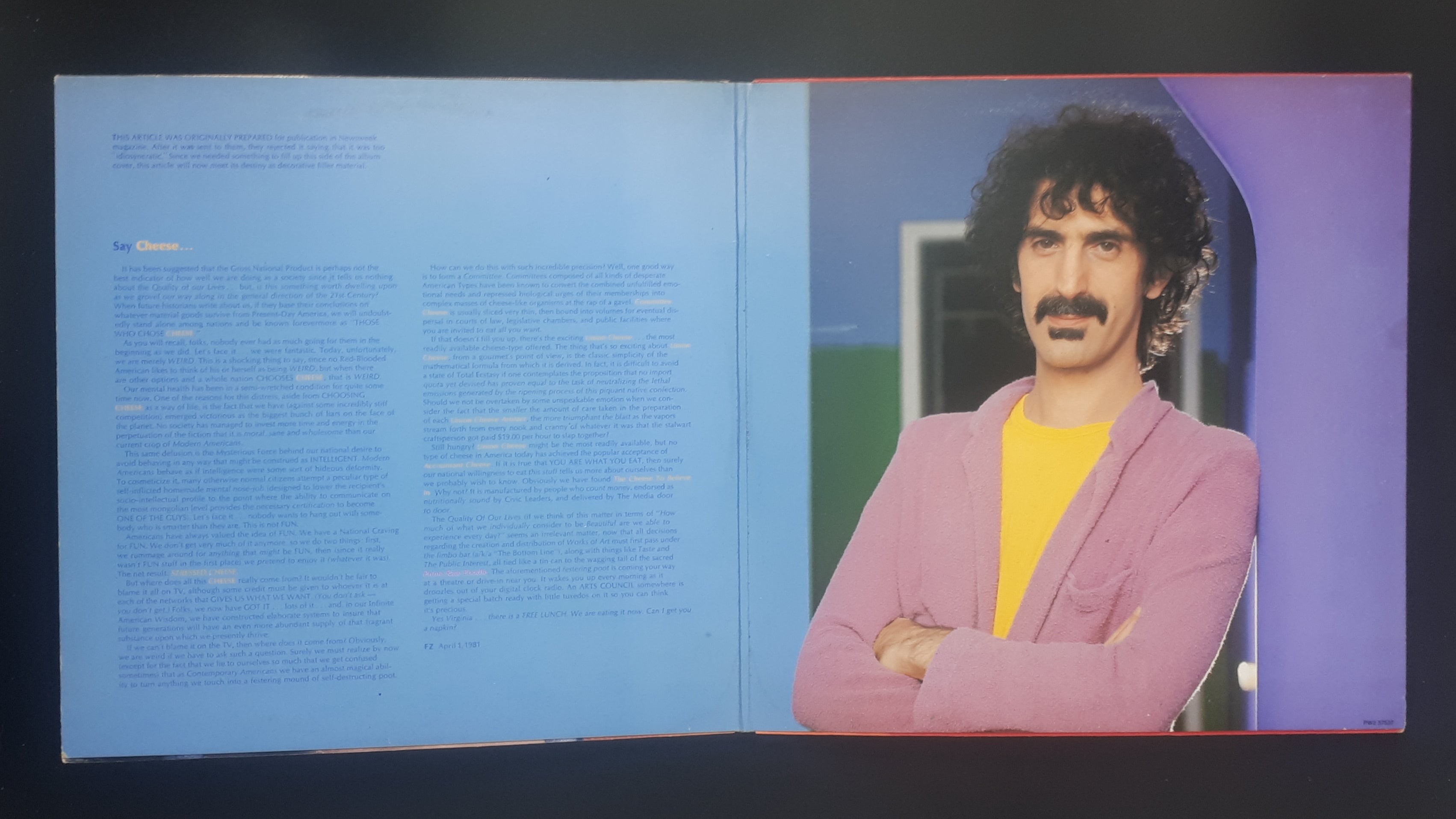 Frank Zappa - You Are What You Is