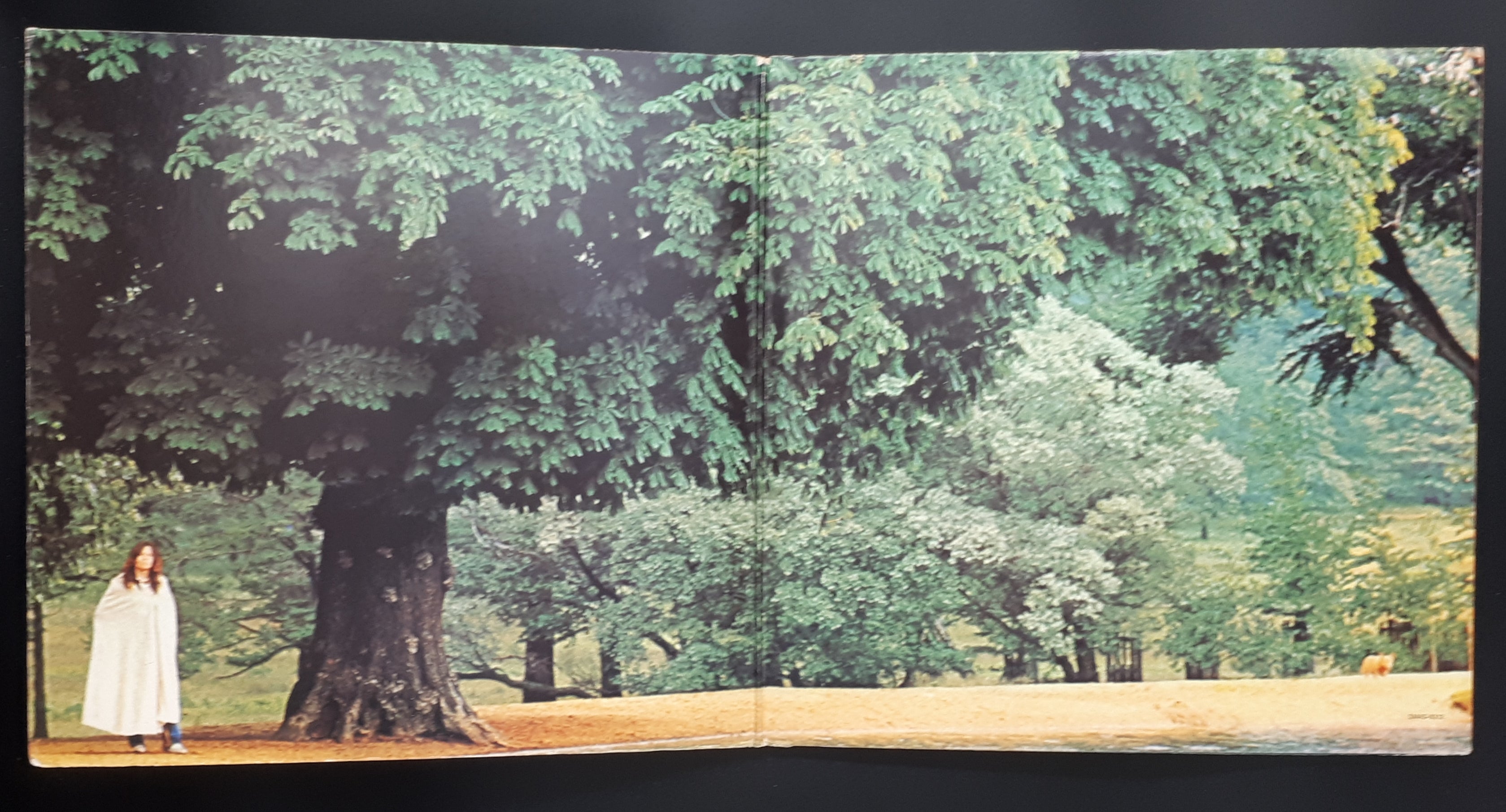 Luther Grosvenor - Under Open Skies