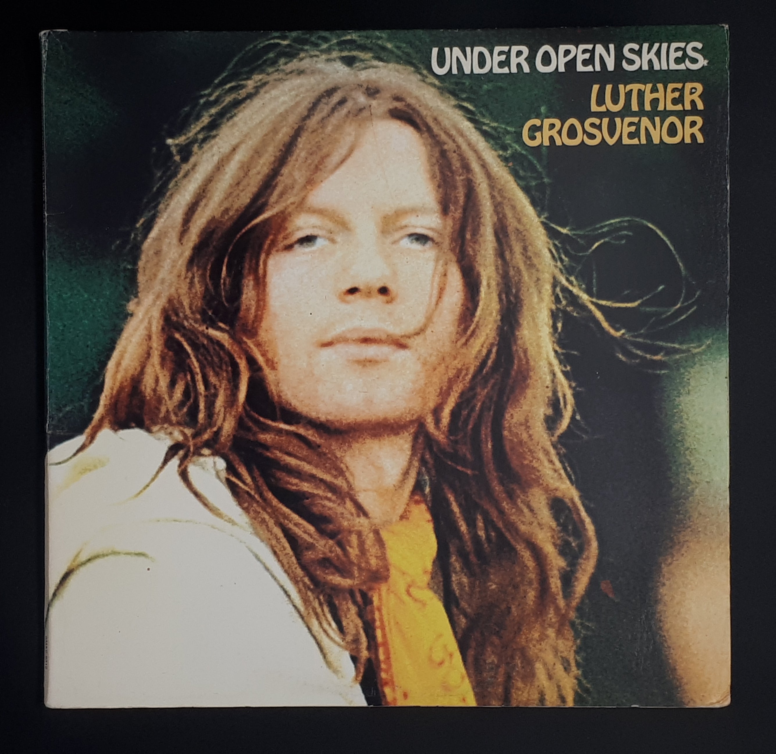 Luther Grosvenor - Under Open Skies