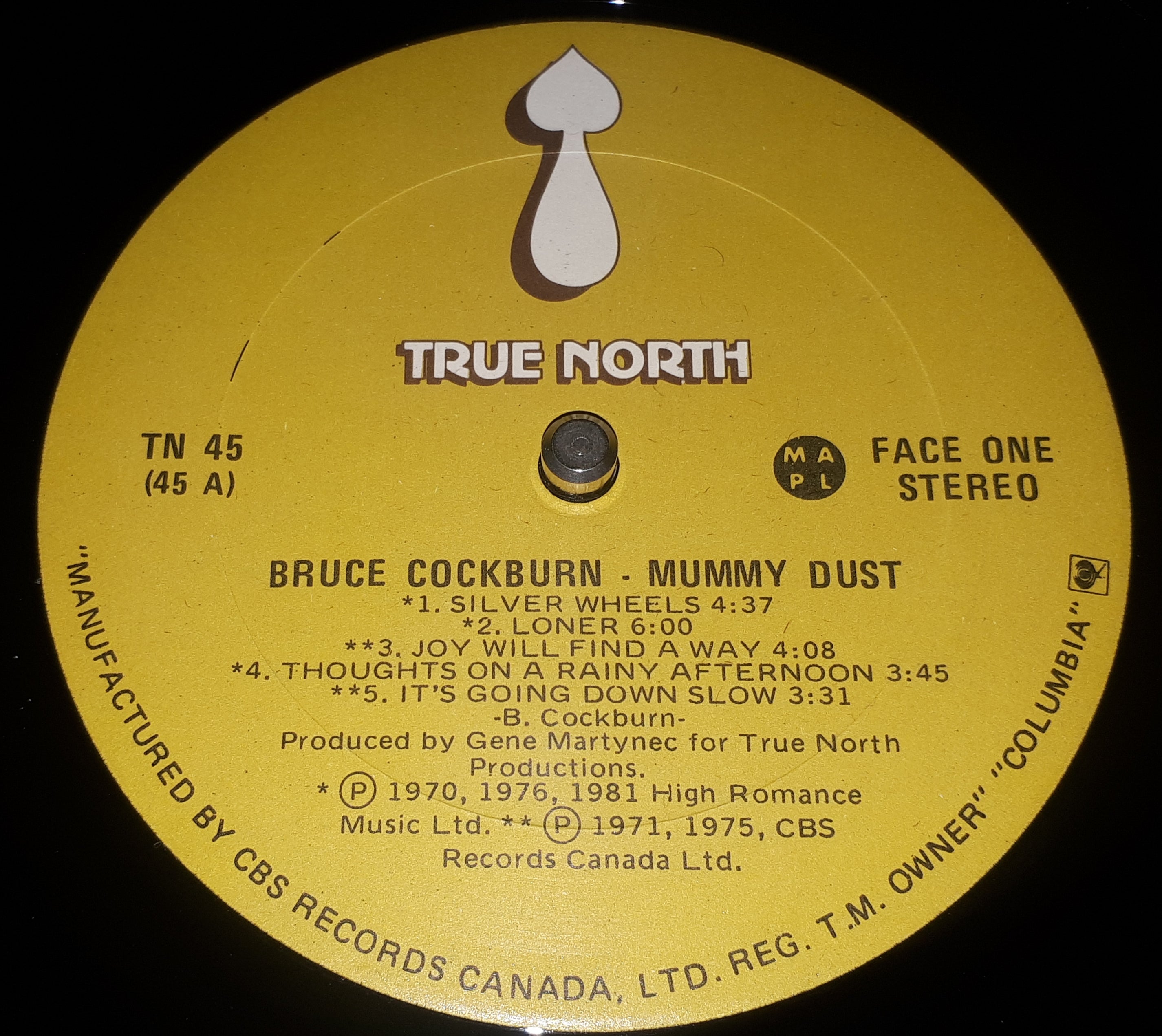 Bruce Cockburn - Mummy Dust