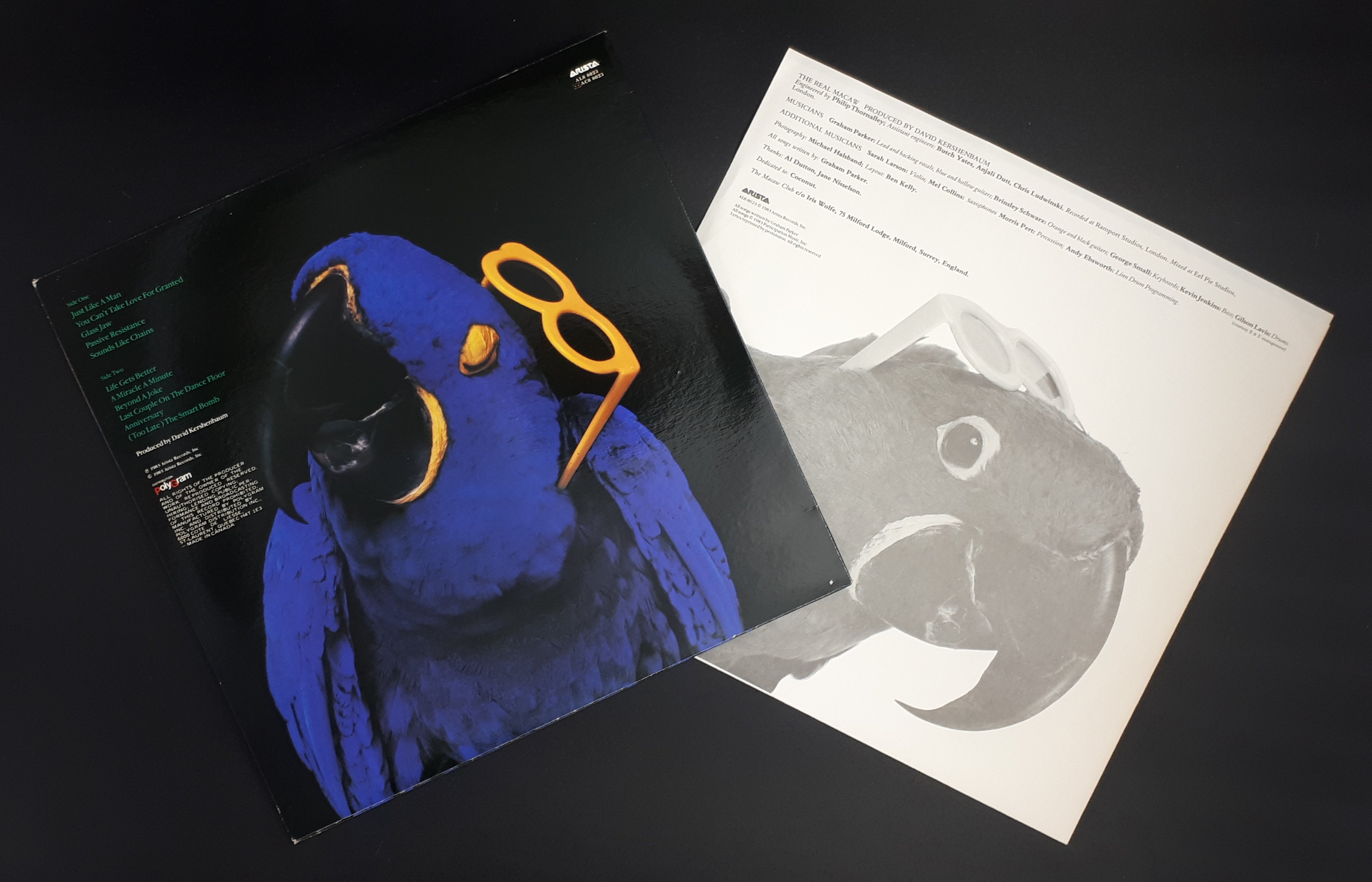 Graham Parker - The Real Macaw