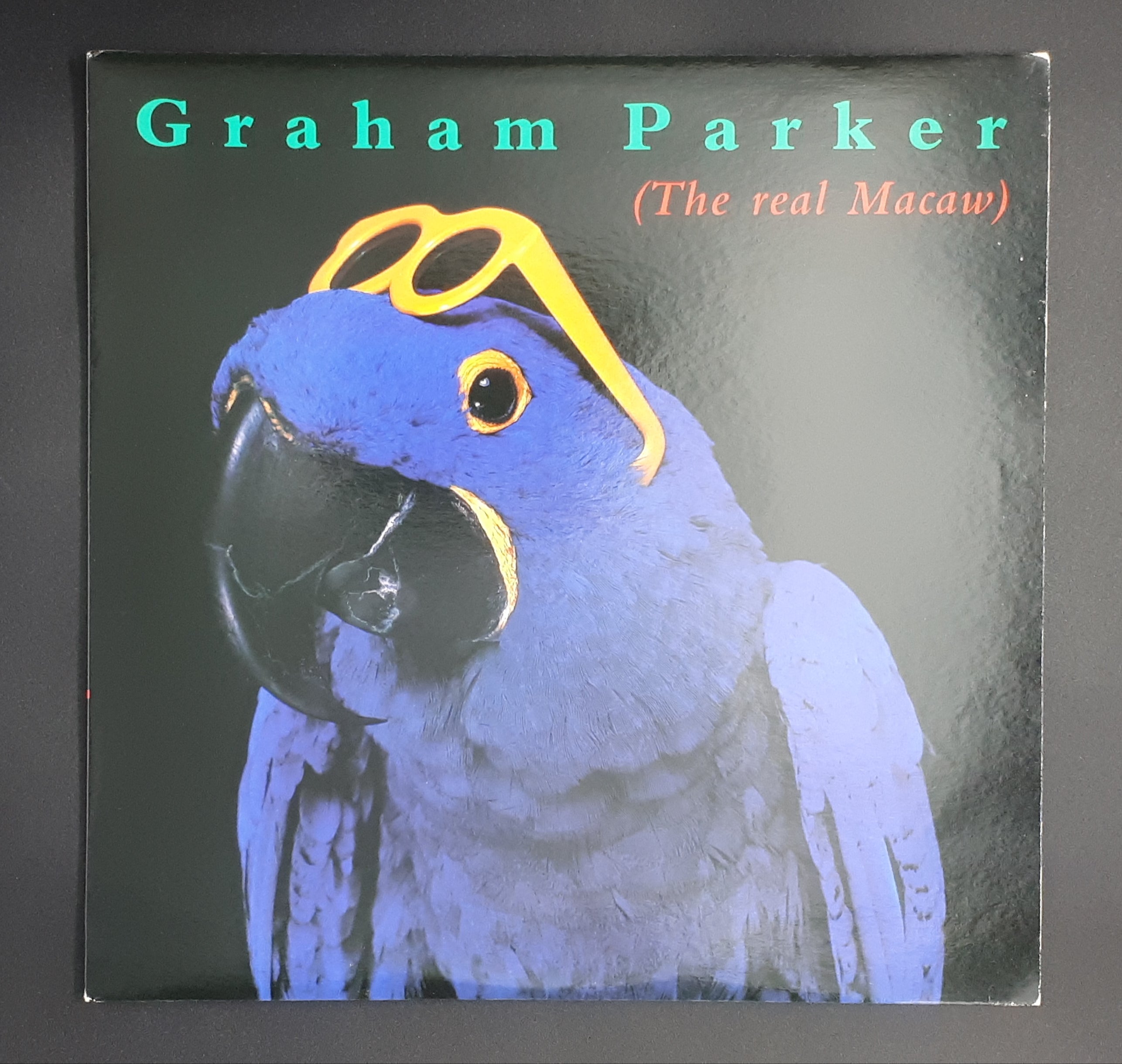 Graham Parker - The Real Macaw